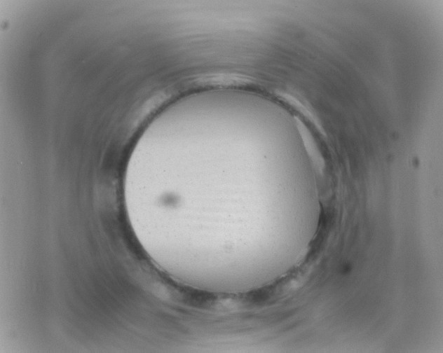 X0000070390111200606301956