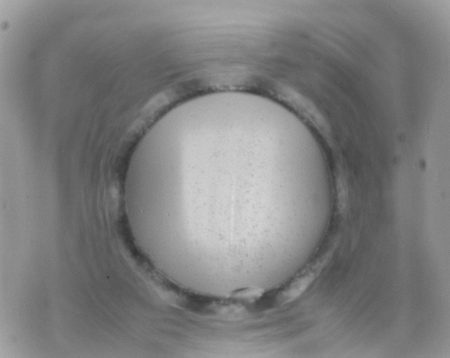 X0000070390113200606301956