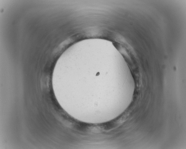 X0000070390115200606301956