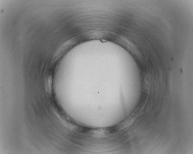 X0000070390118200606301956