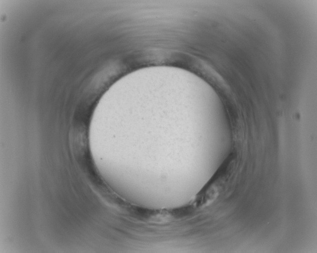 X0000070390119200606301956