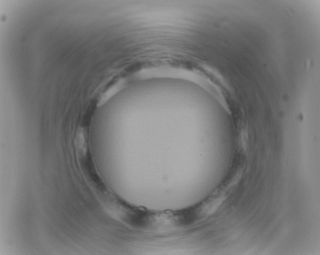 X0000070390121200606301956