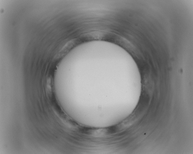 X0000070390122200606301956