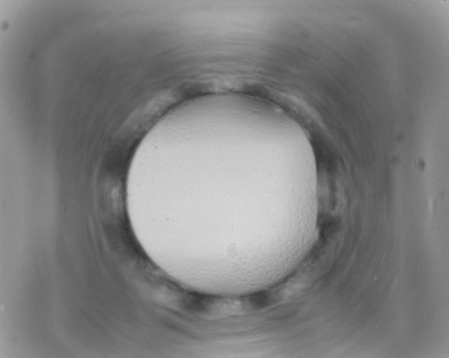 X0000070390123200606301956