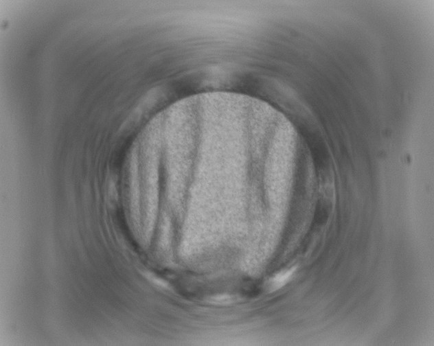 X0000070390127200606301956