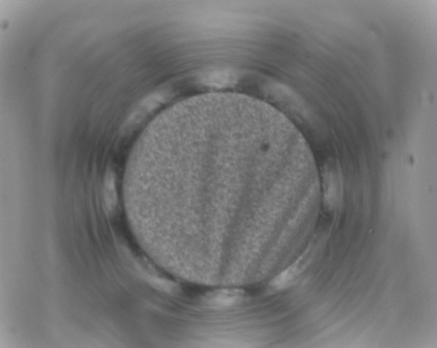 X0000070390128200606301956