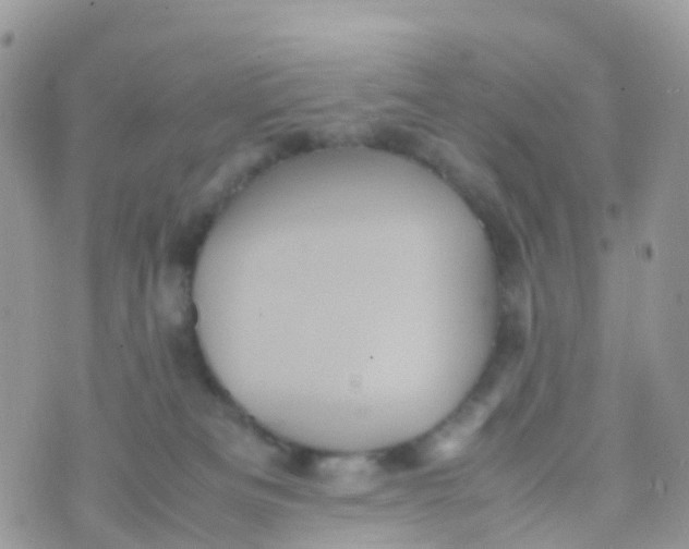 X0000070390133200606301956