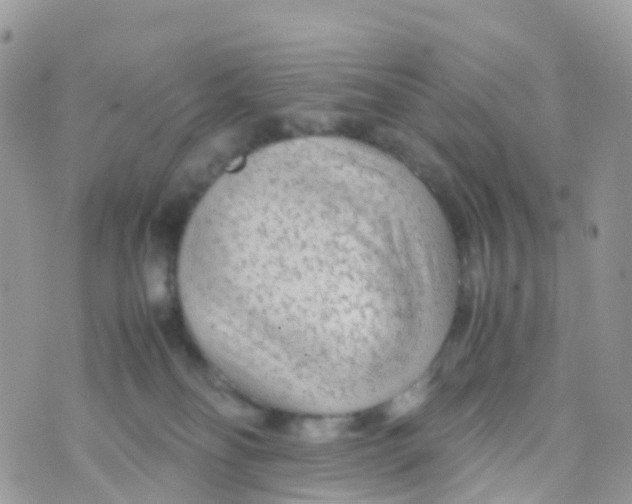 X0000070390134200606301956