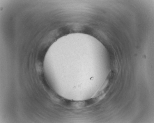 X0000070390135200606301956