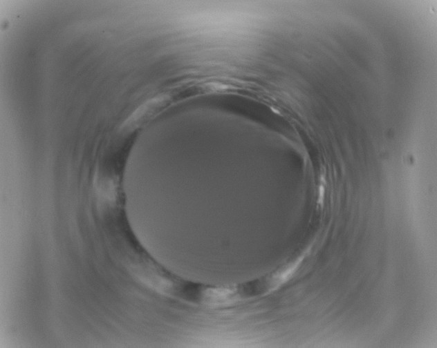 X0000070390139200606301956