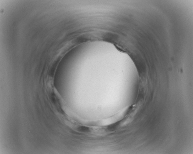 X0000070390141200606301955