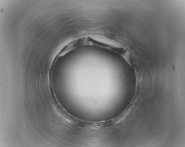 X0000070390148200606301955