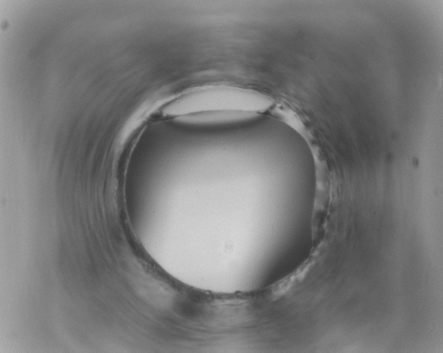 X0000070390150200606301955