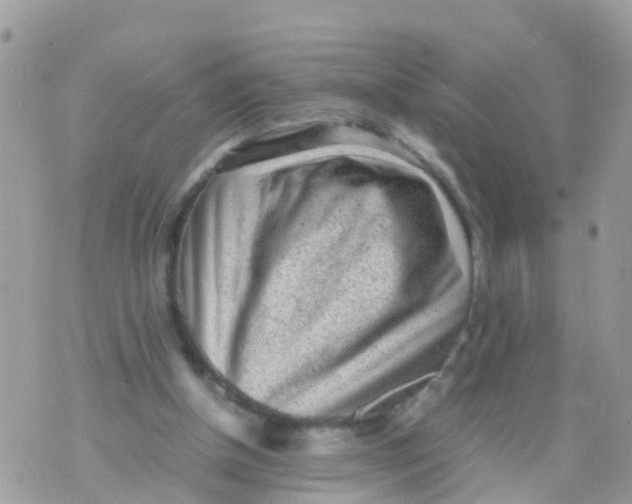 X0000070390154200606301955