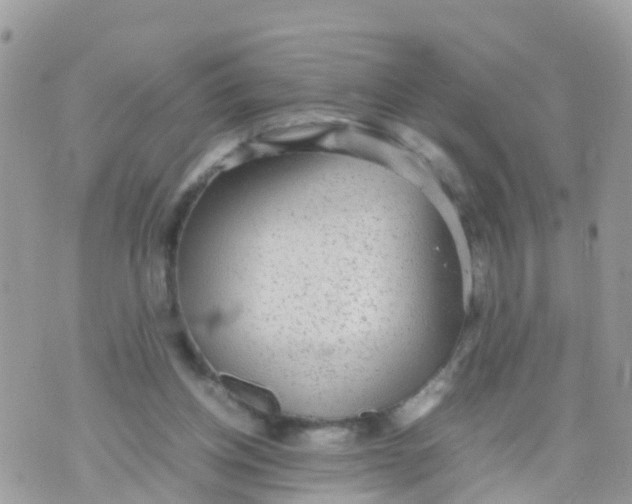 X0000070390158200606301955