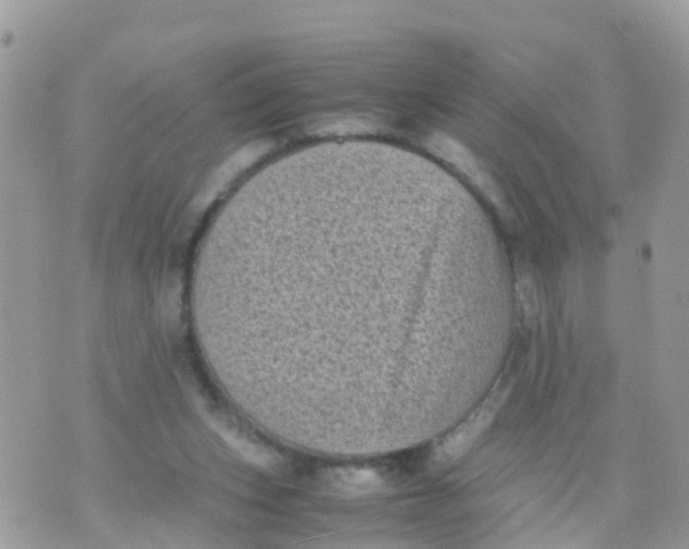 X0000070390159200606301955