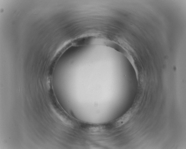 X0000070390160200606301955