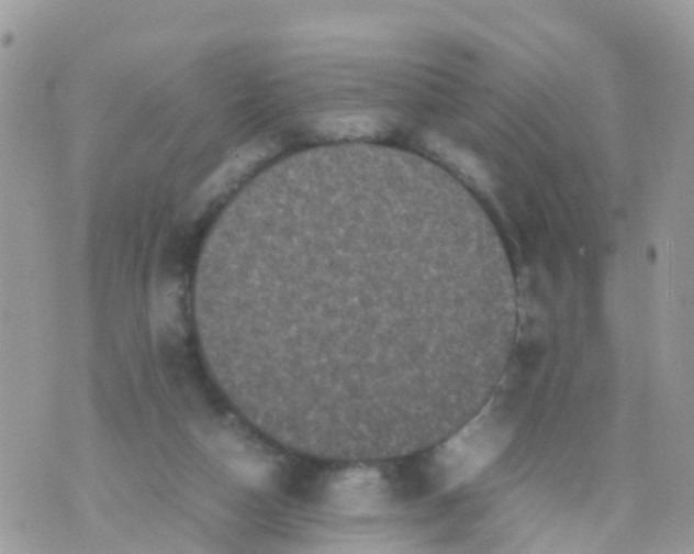 X0000070390162200606301955