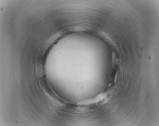 X0000070390164200606301955