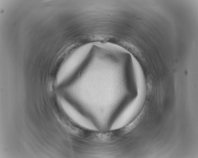 X0000070390166200606301955