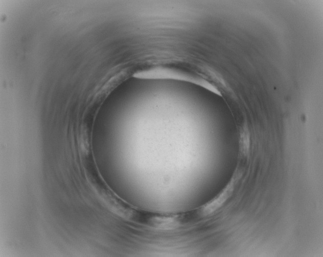 X0000070390170200606301955