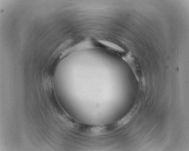 X0000070390172200606301955