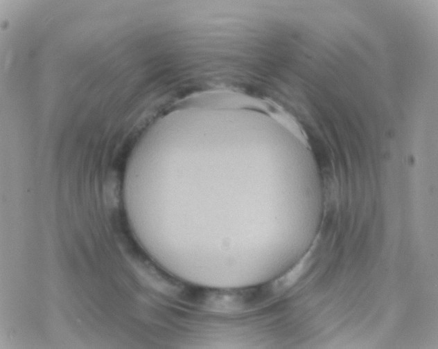 X0000070390174200606301955