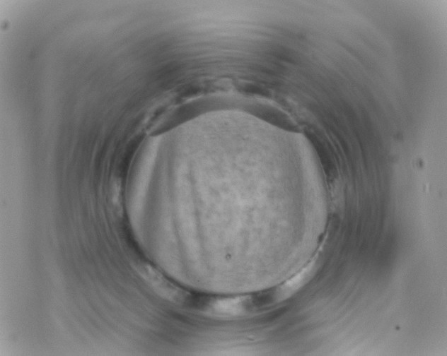 X0000070390178200606301955