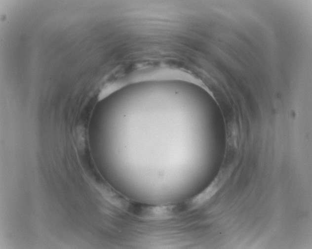 X0000070390184200606301955