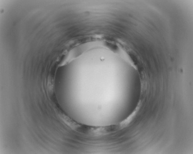 X0000070390186200606301955