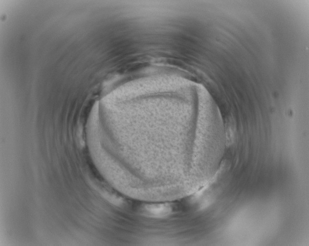 X0000070390187200606301955