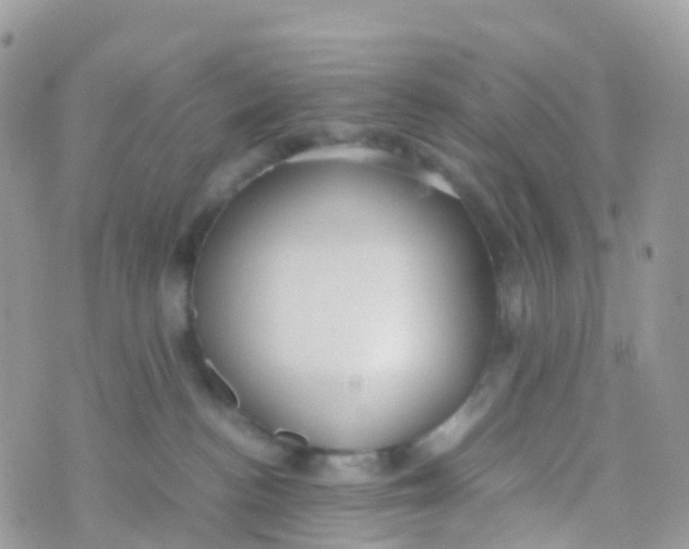 X0000070390188200606301955