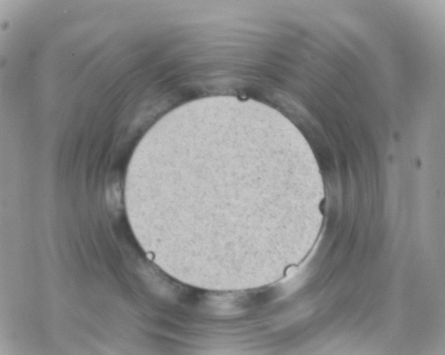 X0000070390190200606301955