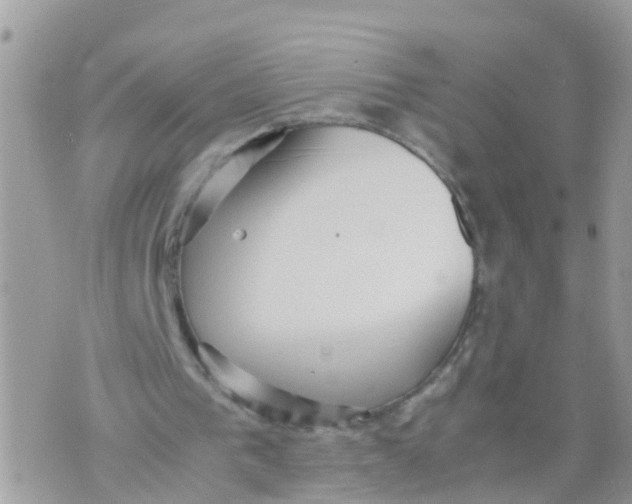 X0000070390193200606301955