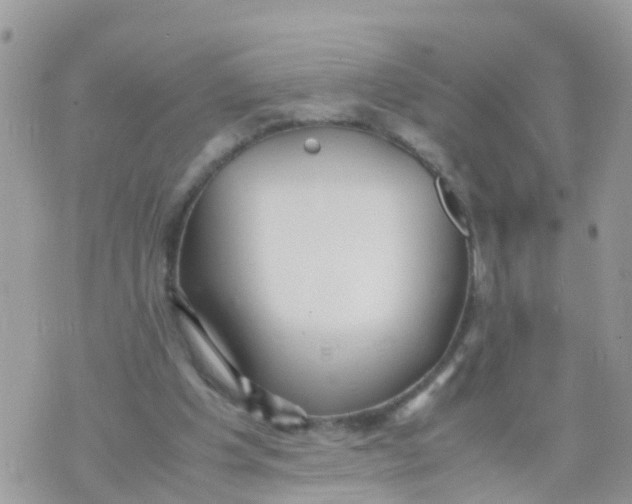 X0000070390201200606301954