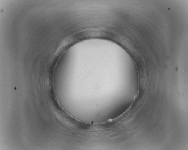 X0000070390207200606301954