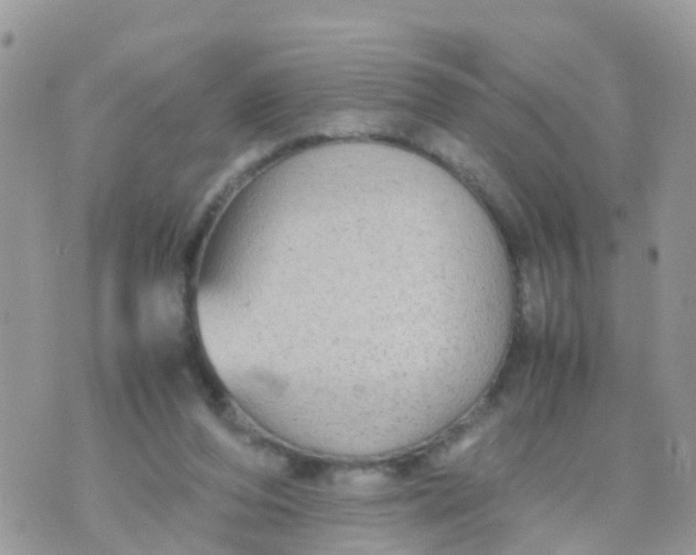 X0000070390208200606301954