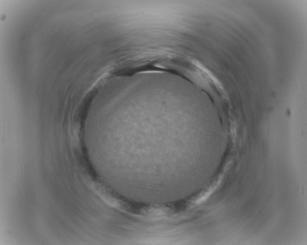 X0000070390209200606301954