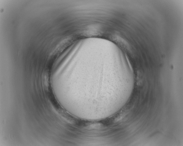 X0000070390210200606301954