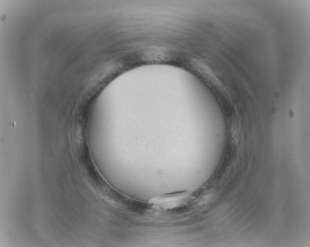 X0000070390211200606301954