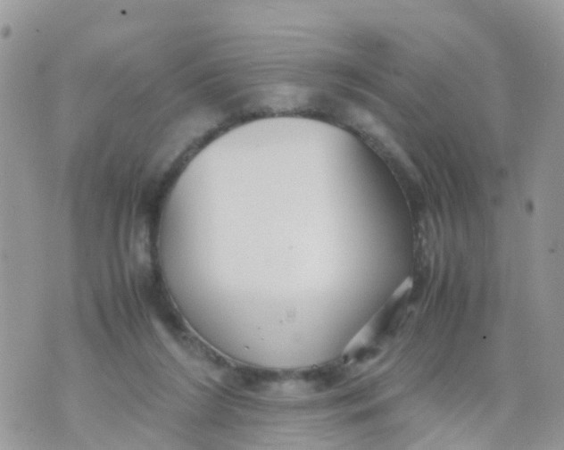 X0000070390212200606301954