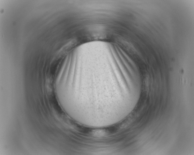 X0000070390218200606301954