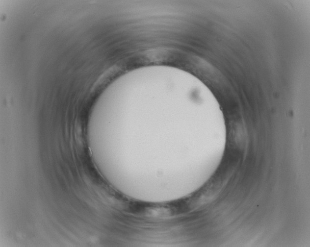 X0000070390220200606301954