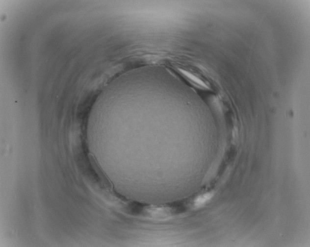 X0000070390221200606301954