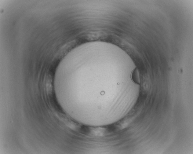 X0000070390226200606301954