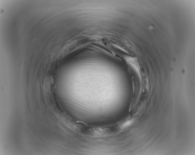 X0000070390229200606301954