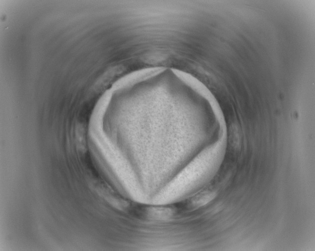 X0000070390234200606301954