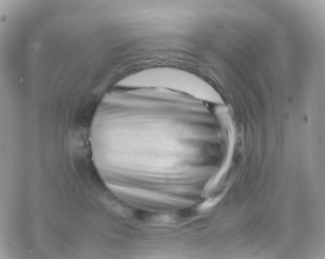 X0000070390237200606301954