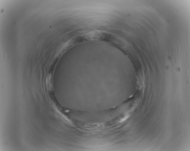 X0000070390239200606301954