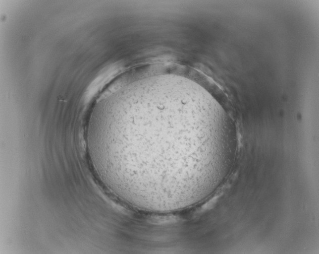 X0000070390245200606301953